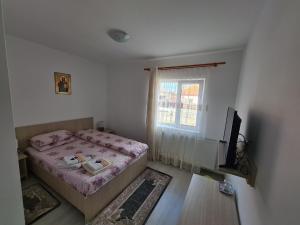 a small bedroom with a bed and a television at CAZARE TURISM PRISLOP in Haţeg