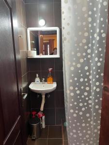 Koupelna v ubytování MIN apartman Goc
