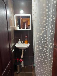 a bathroom with a sink and a mirror at MIN apartman Goc in Vrnjačka Banja