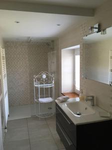 a bathroom with a sink and a shower with a mirror at La Buissonnière in Saint-Vincent