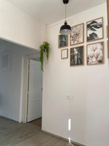 Fotografie z fotogalerie ubytování Hostal Orange Vibes v destinaci Paterna