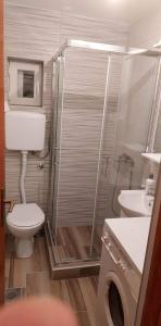 a bathroom with a shower and a toilet and a sink at Apartman M in Trebinje