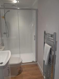 y baño con ducha, aseo y lavamanos. en Lealt Falls Apartment, en Culnacnoc