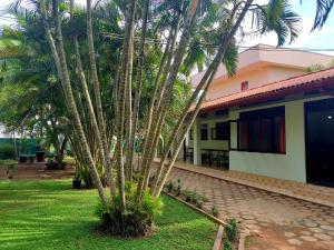 a palm tree in front of a building at Hotel TK Green Garden in Matara