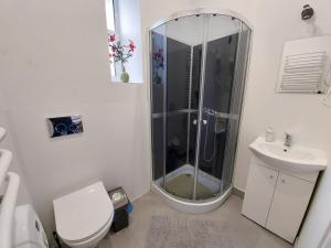 een badkamer met een douche, een toilet en een wastafel bij Noclegi Słodki Sen 2 in Lublin