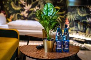 a table with two soda bottles and a potted plant at Jungle Apartments Podwale in Wrocław