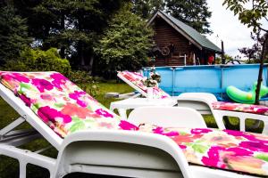 una fila de sillas de jardín con cojines coloridos. en Viešnagė pas Valentiną, en Sužionys