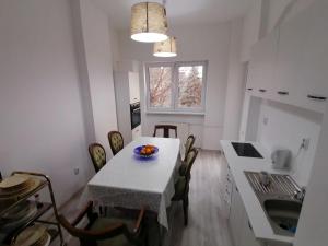 Køkken eller tekøkken på Central appartment - heart of Bucharest - sector 1 - new renovated - open space + 18 billeder