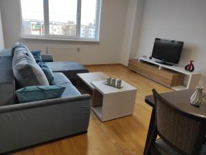a living room with a couch and a tv at Klaipėdos 99 Apartamentai in Panevėžys