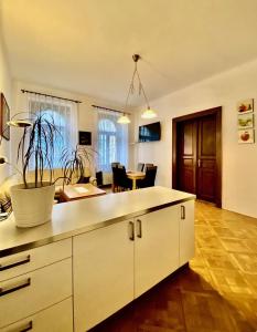 a kitchen with white cabinets and a living room at Spacious cozy apartments in centre in Prague