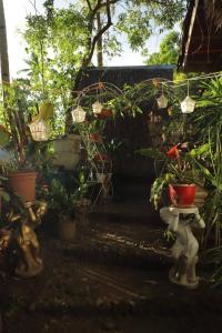 a garden with potted plants and lanterns and plants at SHUKRAN Apartelle in Siquijor