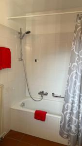 a bathroom with a shower and a bathtub with red towels at AsconaDolceVita in Ascona +9 photos