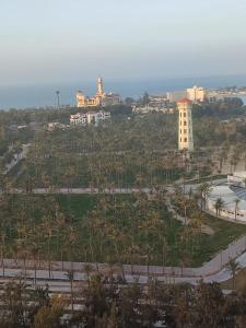 a view of a city with palm trees and a building at شقة ايفو ترى المنتزه بالكامل in Alexandria