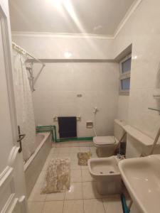 a bathroom with a sink and a toilet and a tub at شقة ايفو ترى المنتزه بالكامل in Alexandria