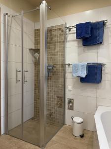 een glazen douchecabine in de badkamer met blauwe handdoeken bij Privathaus Wehle in Kurort Gohrisch