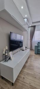 TV in/ali zabaviščno središče v nastanitvi Apartman Ivkovic