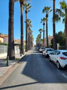 uma rua com palmeiras e carros estacionados em Rez-de-chaussée privatif spacieux 3* d'une villa centre ville em Hyères