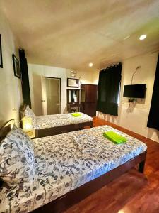 a bedroom with two beds and a television in it at West Side Cabana in Moalboal