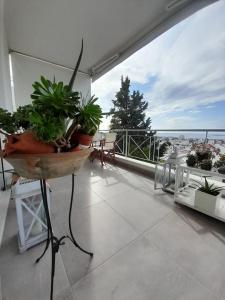 a balcony with potted plants sitting on a table at Sea View House Voula in Athens