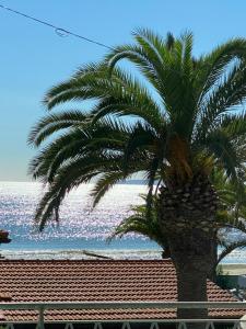 Photo de la galerie de l'établissement Via Firenze 11, à Follonica 72 autres photos