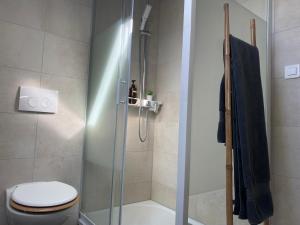ein Bad mit einer Dusche, einem WC und einem Waschbecken in der Unterkunft Cocon Pontissalien in Pontarlier