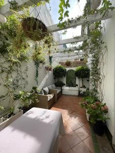 Zahrada ubytování Home Away From Home Marbella