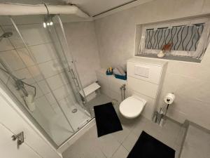 a white bathroom with a shower and a toilet at 1 oder 2 Monteurzimmer nahe Flughafen in Rüsselsheim
