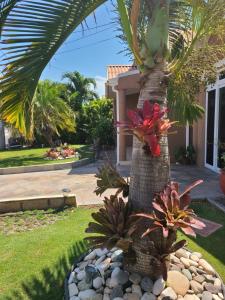 un palmier devant une maison dans l'établissement Caribbean Estates, 10 mins from the Beach, Beautiful Gated Community, à Portmore