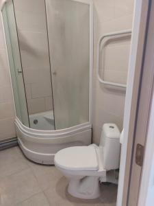 a bathroom with a white toilet and a shower at Jelena Apartment in Rēzekne