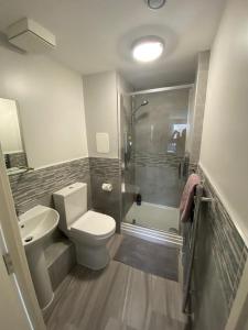 a bathroom with a toilet and a shower and a sink at Fabulous 3 Bedroom Flat in Edinburgh