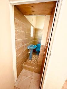 a bathroom with a blue toilet in a room at Abrama Bed And Breakfast in Francistown