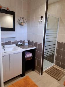 een badkamer met een wastafel en een douche bij Gite D'étape Et De Séjour Les Sables in Brégnier-Cordon