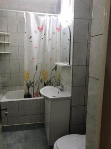 ピテシュティにあるApartament confortabilのバスルーム(トイレ、洗面台、シャワーカーテン付)
