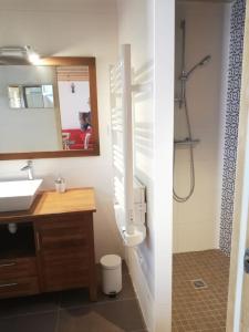a bathroom with a toilet and a sink and a shower at Gîte 4 personnes vue sur les pins proche de la Dune du Pilat, entre lac, Bassin et plages océanes in La Teste-de-Buch +4 photos