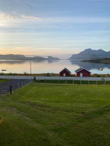 un campo de césped con casas y un cuerpo de agua en Charming holiday home, en Tromsø