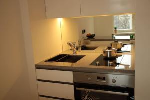uma cozinha com um lavatório e um fogão forno superior em Stylish studio in the centre em Helsinque