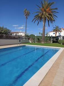 une piscine avec des palmiers en arrière-plan dans l'établissement Paraíso, à Miami Platja