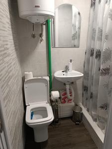 La petite salle de bains est pourvue de toilettes et d'un lavabo. dans l'établissement Apartment 1 Novi Sad, à Novi Sad