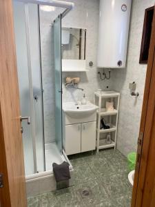 a bathroom with a shower and a sink at Kuća sa pogledom na Tornik in Zlatibor