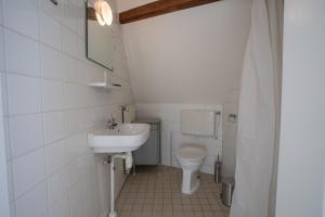 een kleine badkamer met een wastafel en een toilet bij De Hilde in Zutphen