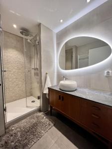 bagno con lavandino, doccia e specchio di Centre ville Haguenau - 5pers a Haguenau