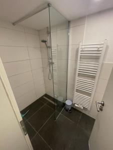um chuveiro com uma porta de vidro na casa de banho em Ferienwohnungen Calwer Höfle City - für Firmen, Handwerker und Monteure em Calw