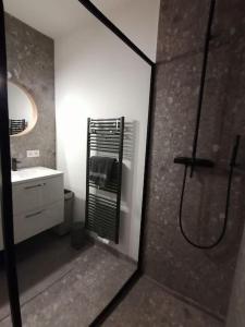een badkamer met een douche, een wastafel en een spiegel bij CoZB in Brugge