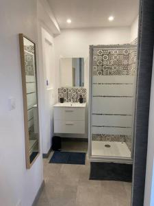 uma casa de banho com um chuveiro, um lavatório e um espelho. em Maisonnette cosy à 10 mn de Nantes em Rezé