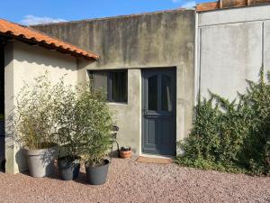 uma casa com uma porta azul e algumas plantas em Maisonnette cosy à 10 mn de Nantes em Rezé