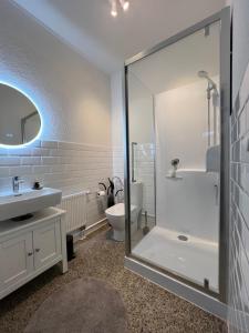 ein Bad mit einer Dusche, einem Waschbecken und einem WC in der Unterkunft Ferienwohnung in Bad Bramstedt in Bad Bramstedt