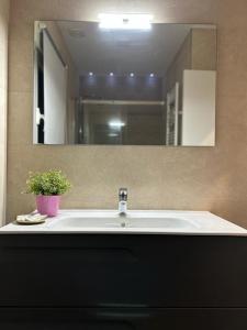 umywalkę w łazience z doniczką przed lustrem w obiekcie Casa La Rosada w mieście Garray