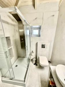 a bathroom with a glass shower and a toilet at WoodHome in Kalamitsi
