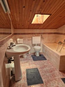 y baño con lavabo, aseo y bañera. en House among olive trees with a sea view 1, en Ankaran