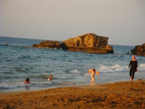 A beach at or near the inn 
